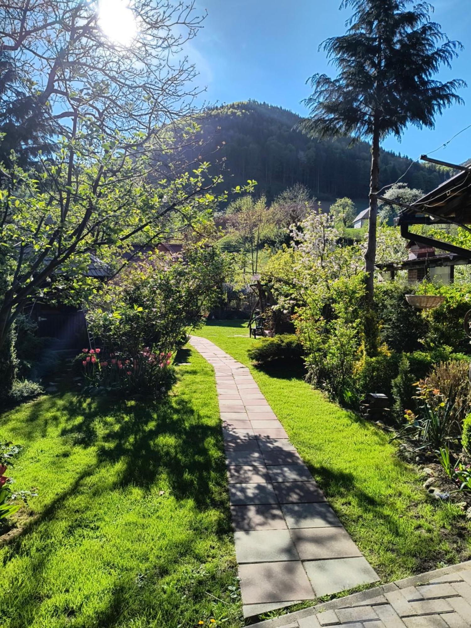 Casa De Vacanta Vidrighin Rau Sadului Extérieur photo