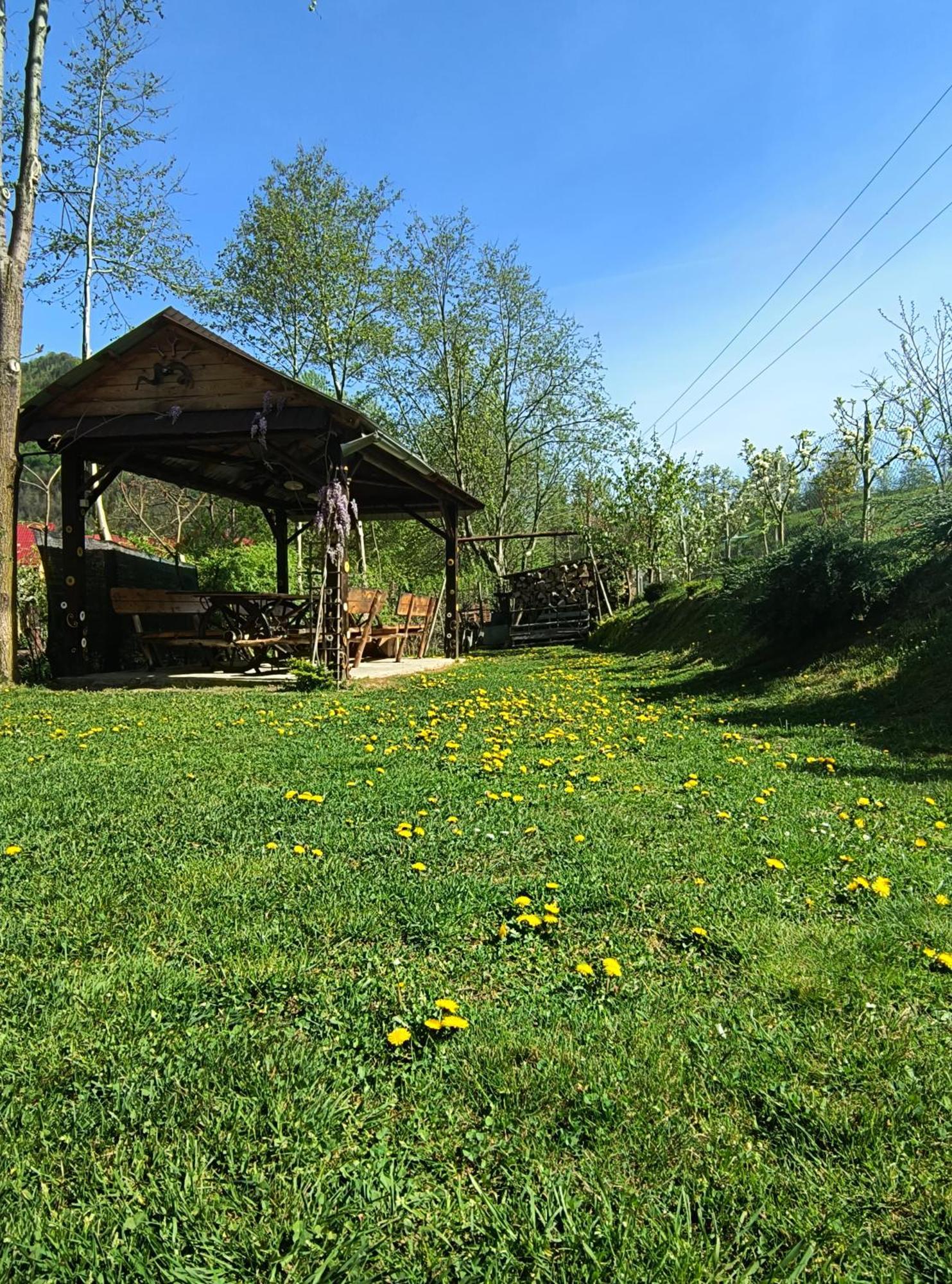 Casa De Vacanta Vidrighin Rau Sadului Extérieur photo